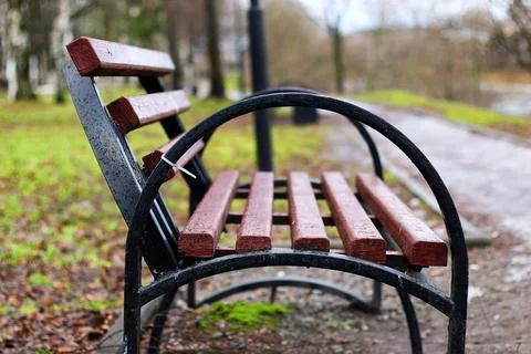 Bench in the city spring Stock Photos