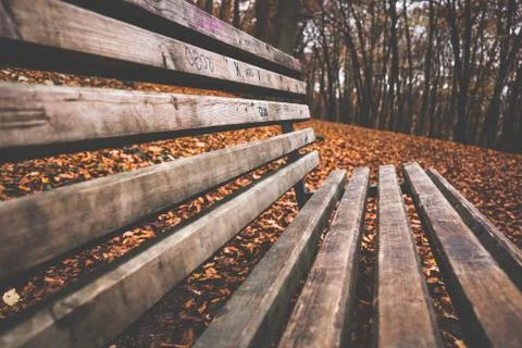 Bench close up forest Stock Photos