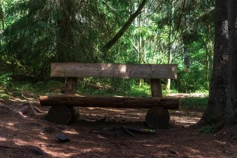 Bench in a coniferous forest. Stock-Fotos