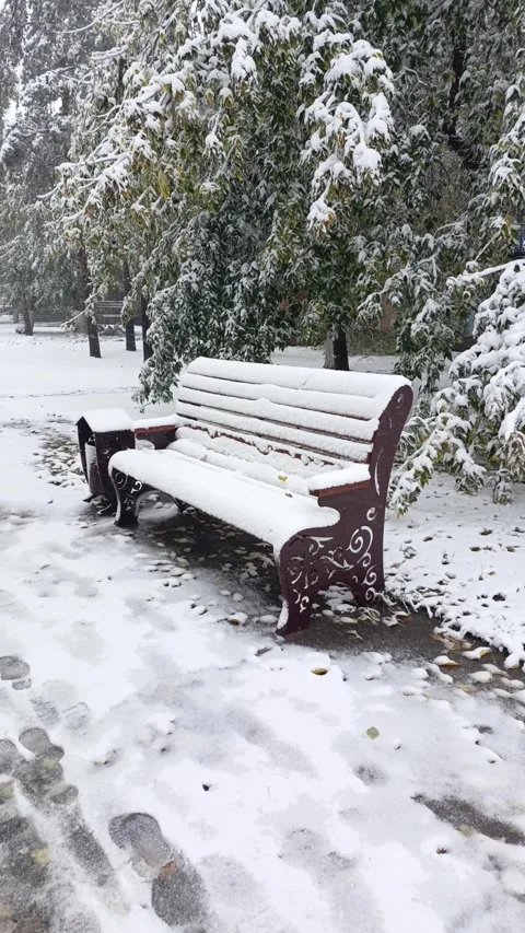 A bench covered in snow next to a group of trees. Stock Footage 318206722