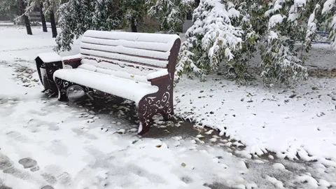 A bench covered in snow next to a group of trees. Stock Footage 318206767