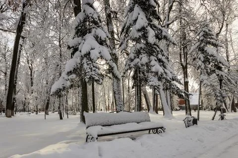 The bench is covered with snow. Stock Photos