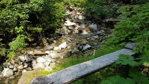 Bench By The Creek Fotos de archivo