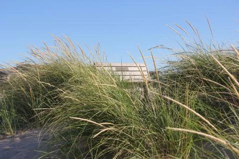 Bench in dune grass on a dune Stock Photos
