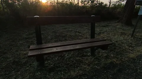 Bench at Dusk Video stock 196333862