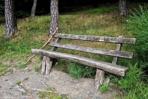 Bench on the edge of the forest Stock Photos