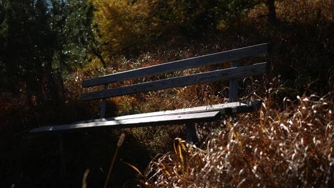 A bench in Elfer, Stubaital Video stock 99556284