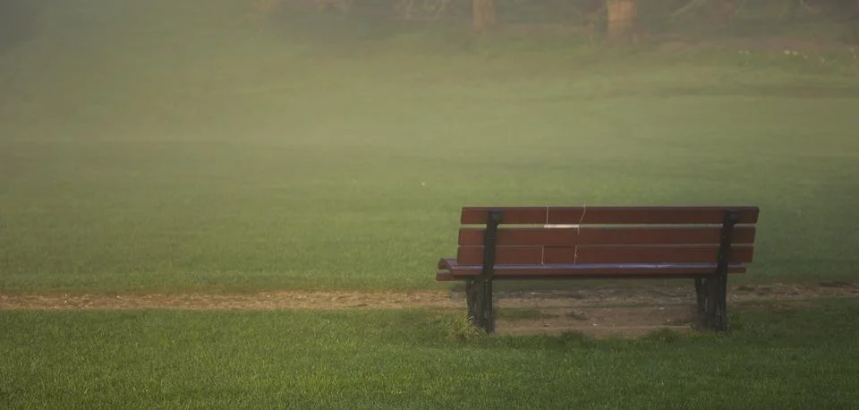 Bench empty on green grass Stock Photos