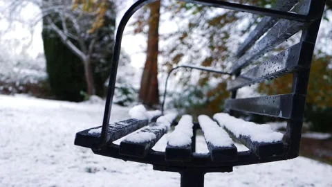 Bench in empty park after winter snowfall Stock Footage 166918795