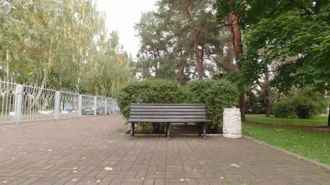 Bench In An Empty Park Stock Footage 162148470