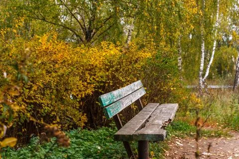 Bench fall Foto stock