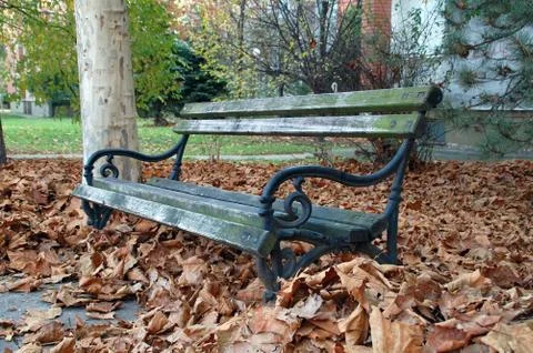 Bench in fallen leaves Stock Photos