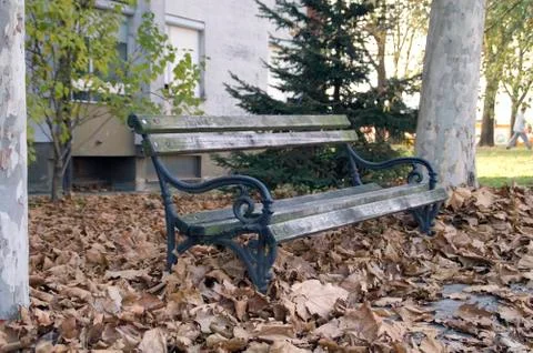 Bench in fallen leaves Stock Photos
