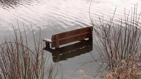 Bench in flooded ground after excessive rainfall Stock Footage 237431141