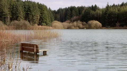 Bench in flooded ground after excessive rainfall Stock Footage 237433255