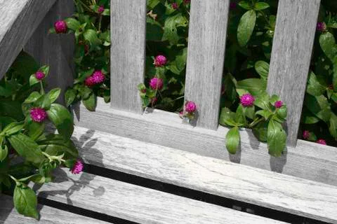 Bench with flowers Stock Photos