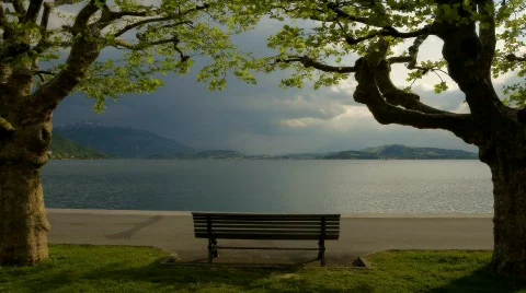Bench Stock Footage 203817
