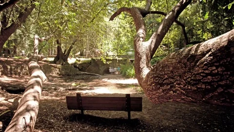 Bench Stock Footage 94713760