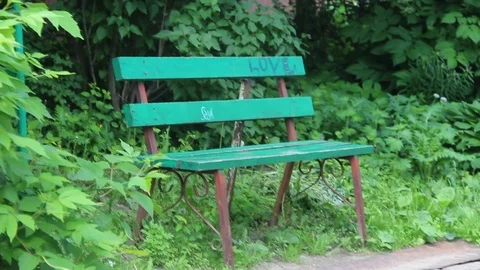 Bench Stock Footage 101764414