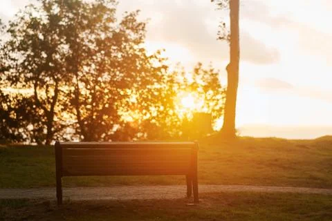 Bench in the forest against the backdrop of the setting sun Stock Photos