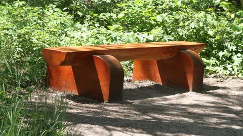 Bench in the forest Stock Footage 40353592