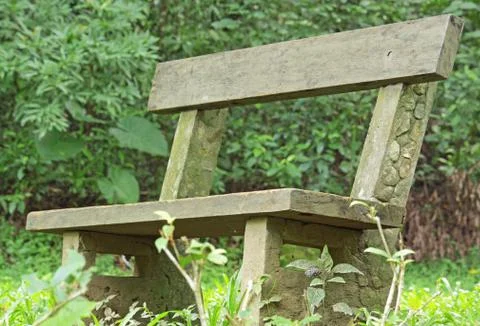 Bench in the forest Stock Photos