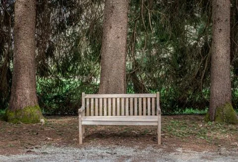 Bench in the forest Stock Photos