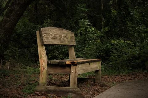 A Bench In The Forest Stock Photos