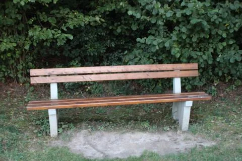 Bench in the forest Stock Photos