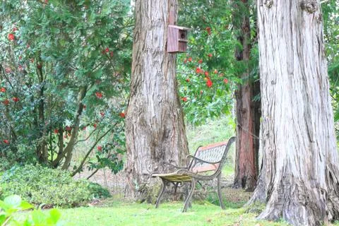Bench in forest Stock Photos