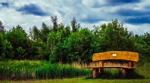 Bench in forest Stock Photos