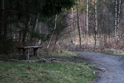 Bench in the forest Stock Photos