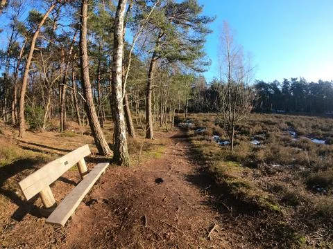 Bench in the forest Stock Photos