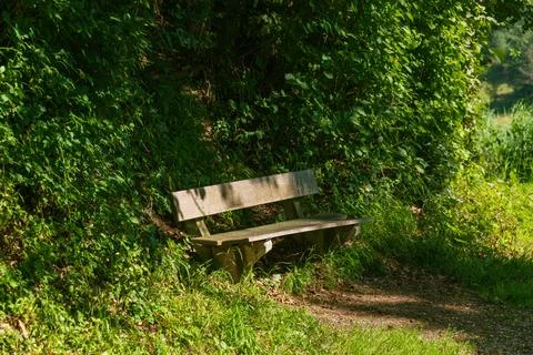 A Bench At The Forest Stock Photos