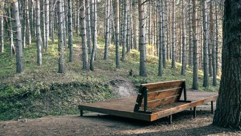 Bench in the forest Stock Photos