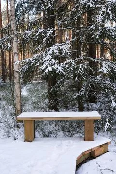Bench in a forest Stock Photos