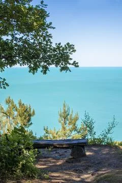 A bench in the forest with a view of the sea Stock Photos