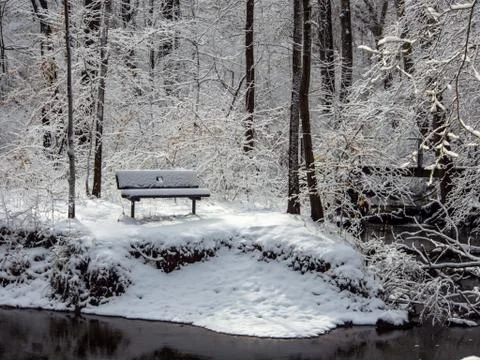 Bench in Forest in Winter Stock Photos