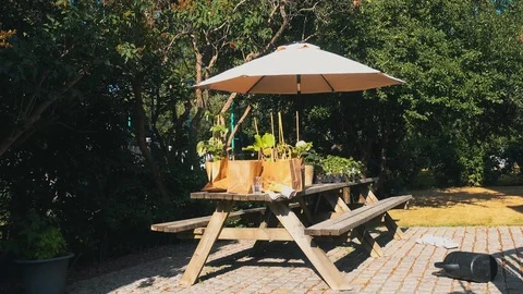 Bench with freshly bought plants on it and a parasol in the wind Stock Footage 93528254