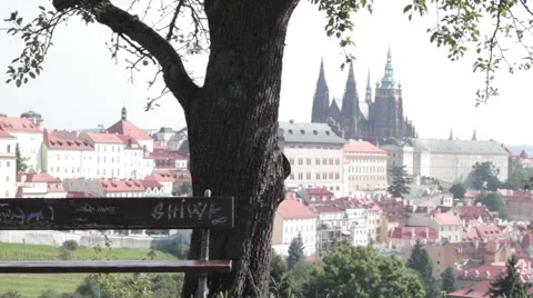 Bench in front of tree overlooking city Stock Footage 41456503