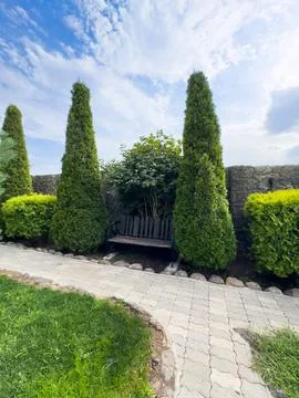 A bench is in front of two tall evergreen trees Stock Photos