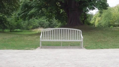 Bench in garden Stock Footage 245413290