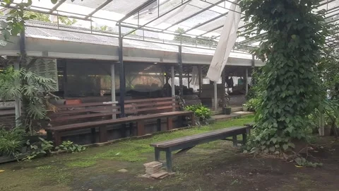 Bench on Garden Stock Footage 329373554