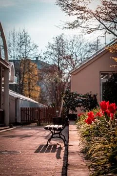 A bench in the garden 스톡 사진