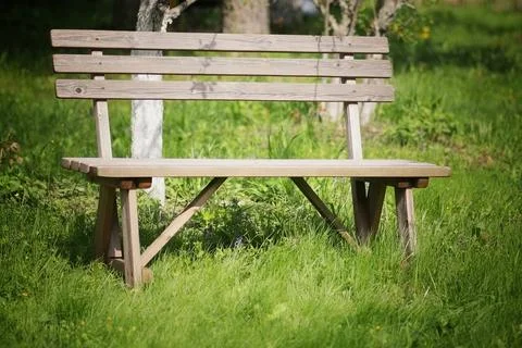 Bench in the garden Foto stock