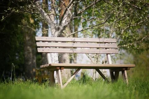 Bench in the garden Foto stock