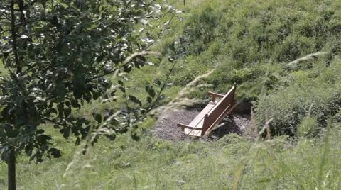 Bench in the grass Stock Footage 41339037