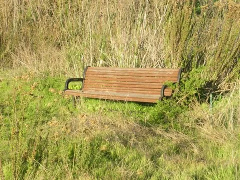 Bench &amp; Grass Stock Photos
