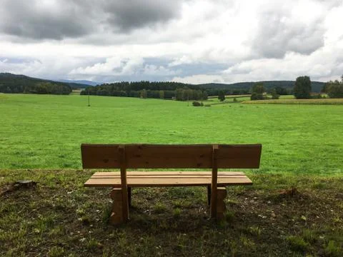 Bench on green grass with conceptual text-balloon thinking and day dreaming c Foto stock