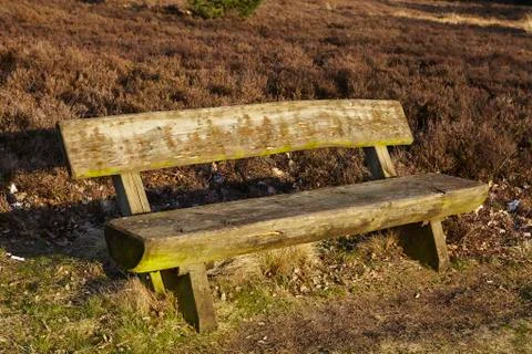 Bench into heathland in spring Stock Photos